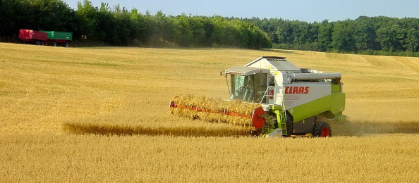 Demeter Landwirtschaft