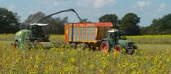 Demeter Landwirtschaft